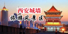 被大型动物抽插啊嗯噢啊啊中国陕西-西安城墙旅游风景区